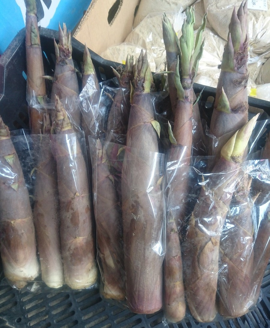 【出荷情報】破竹(ひぐらし茶屋)