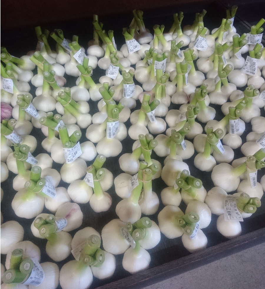 【出荷情報】生にんにく(ひぐらし茶屋)