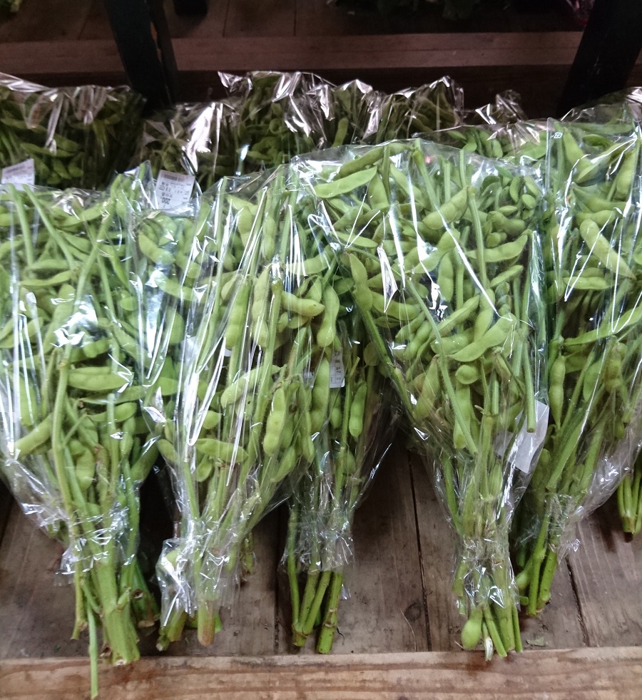 【出荷情報】枝豆(ひぐらし茶屋)