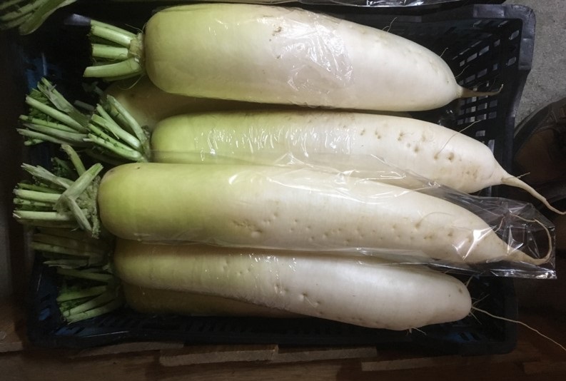 【出荷情報】巨大大根(ひぐらし茶屋)