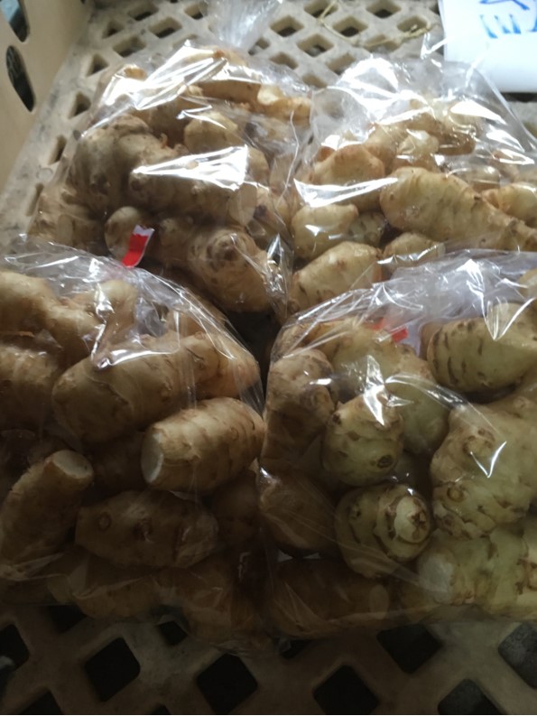 【出荷情報】キクイモ(ひぐらし茶屋)
