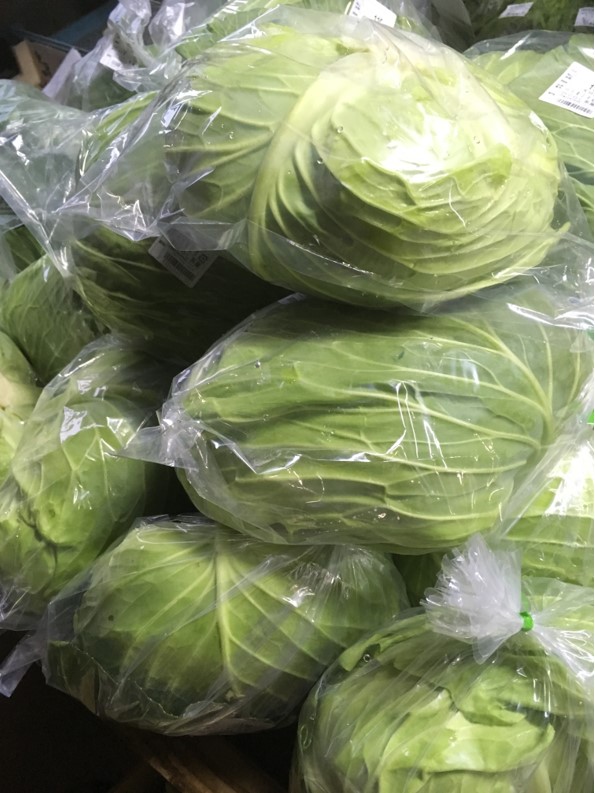 【出荷情報】久住産キャベツ(ひぐらし茶屋)