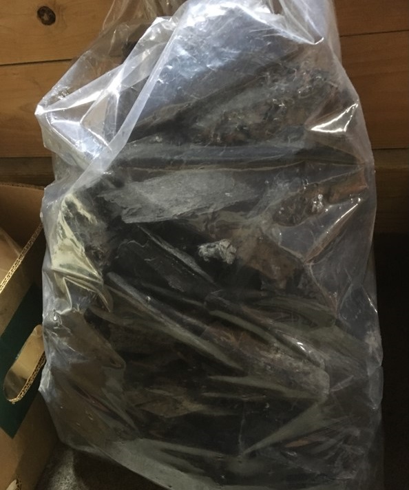 【出荷情報】クヌギとカシの炭(ひぐらし茶屋)