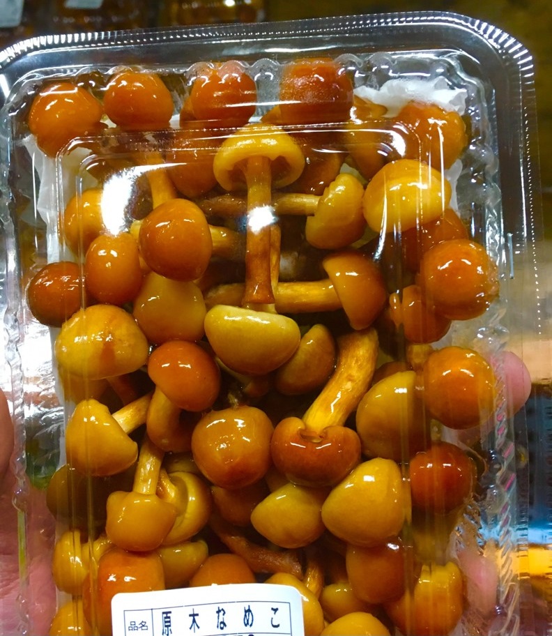 【出荷情報】原木栽培のなめこ(ひぐらし茶屋)