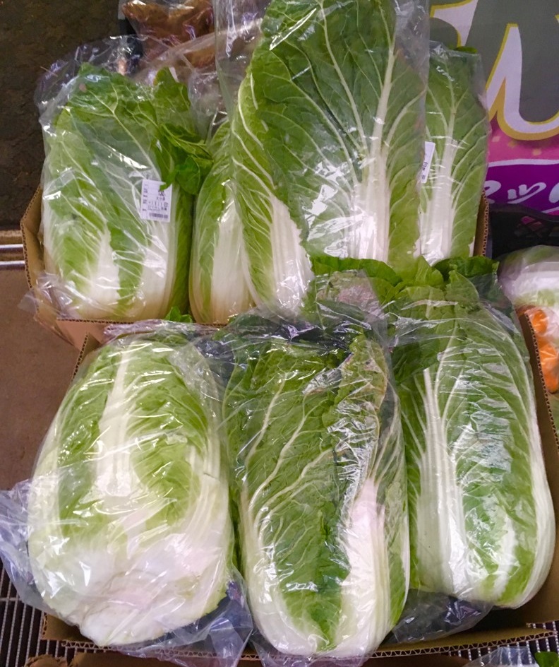 【出荷情報】白菜(ひぐらし茶屋)