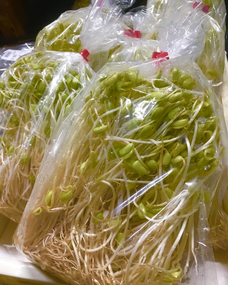 【出荷情報】久住産の黒豆もやし(ひぐらし茶屋)
