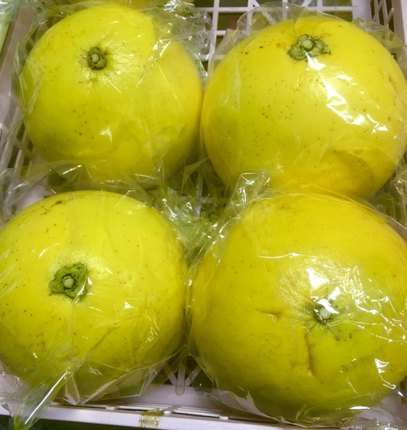 【出荷情報】晩白柚-ばんぺいゆ-(ひぐらし茶屋)