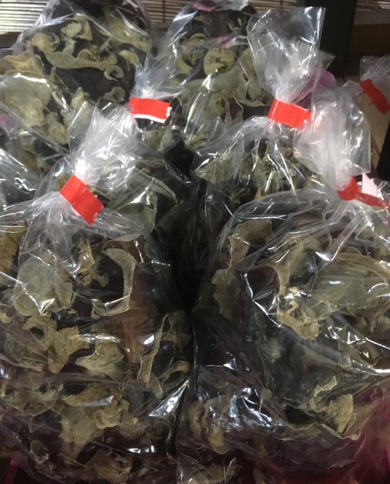 【出荷情報】地元産の乾燥きくらげ(ひぐらし茶屋)