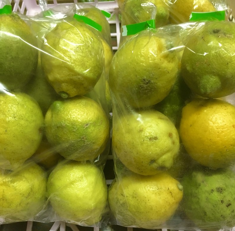 【出荷情報】地元産のレモン(ひぐらし茶屋)