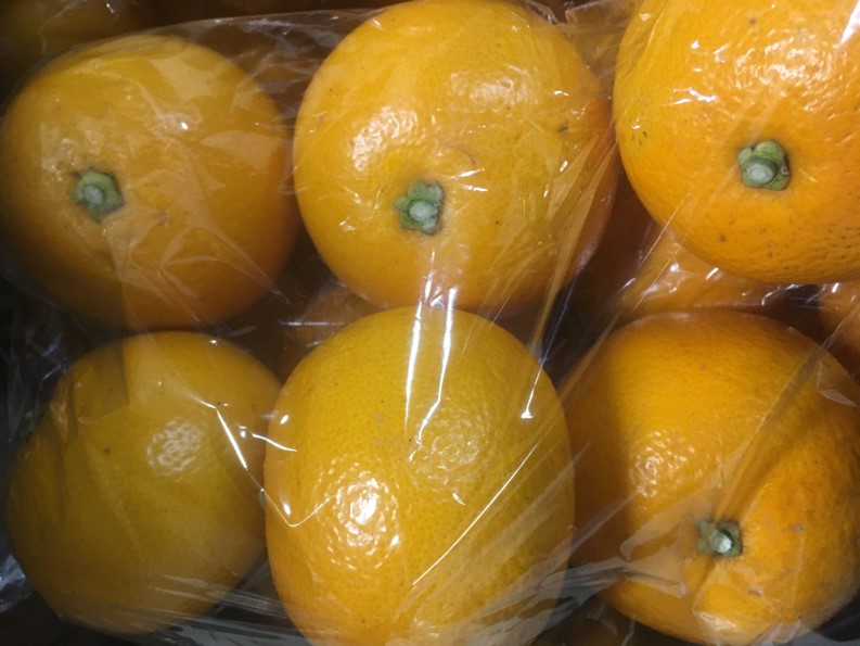 【出荷情報】地元産の紅はっさく(ひぐらし茶屋)
