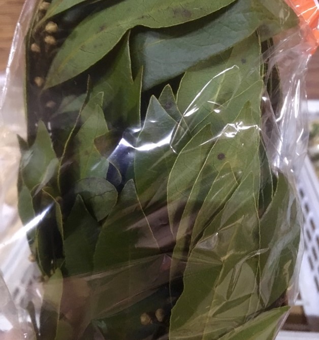【出荷情報】ローリエ(ひぐらし茶屋)