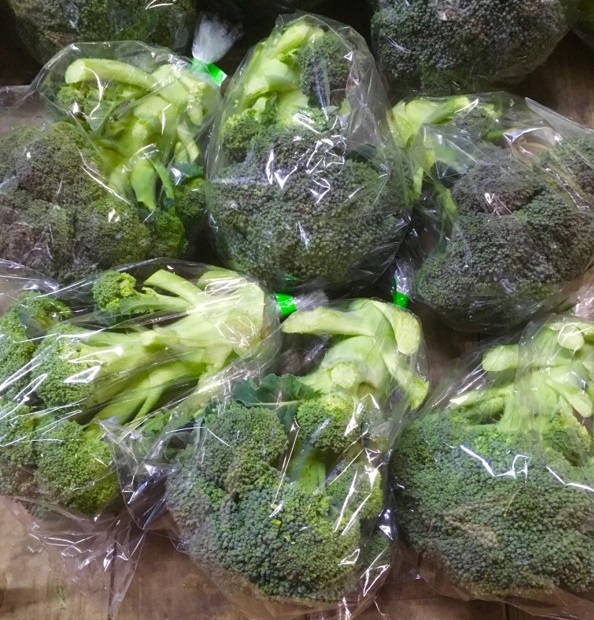 【出荷情報】ブロッコリー(ひぐらし茶屋)