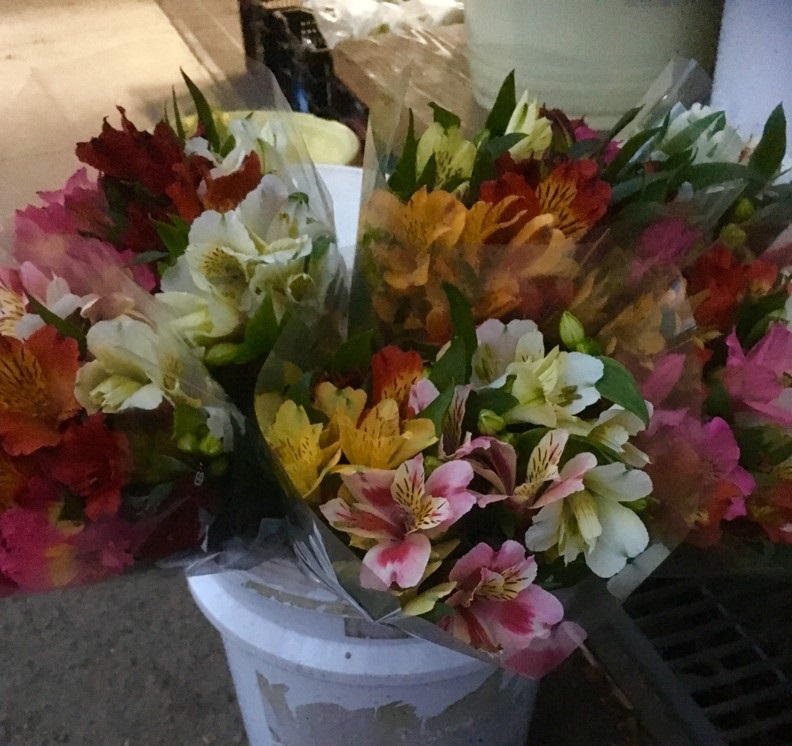 【出荷情報】アルストロメリア(ひぐらし茶屋)