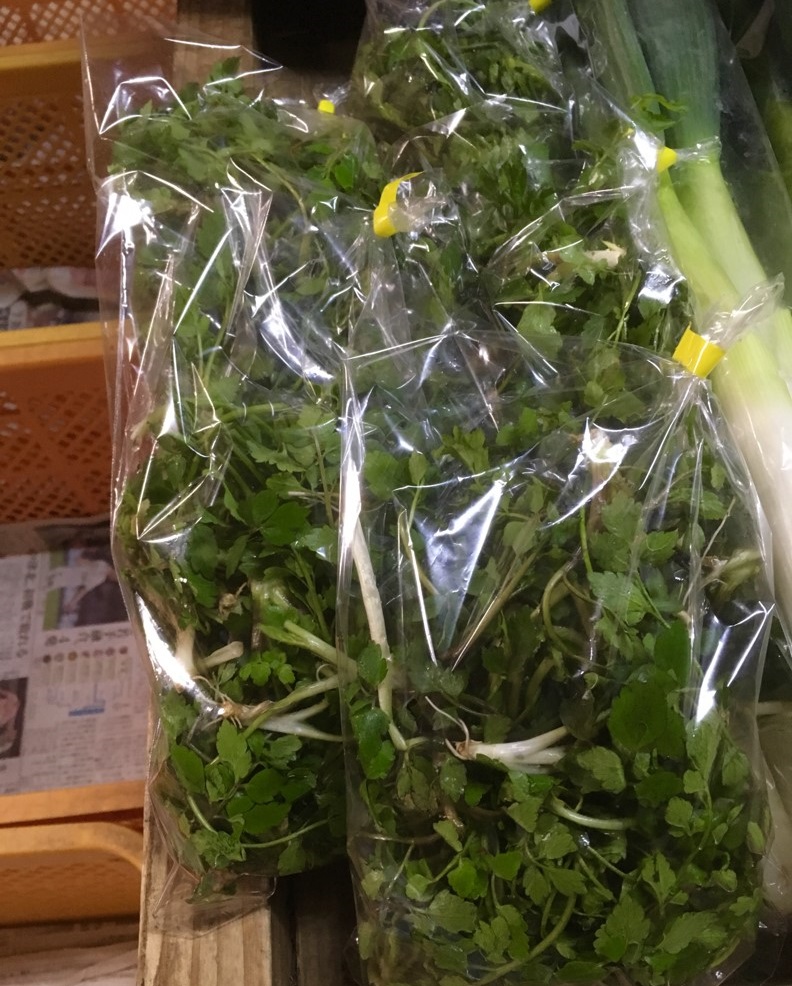 【出荷情報】セリ(ひぐらし茶屋)