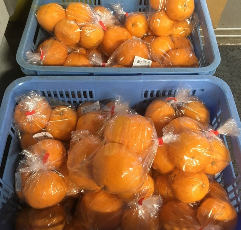 【出荷情報】はるみ(ひぐらし茶屋)