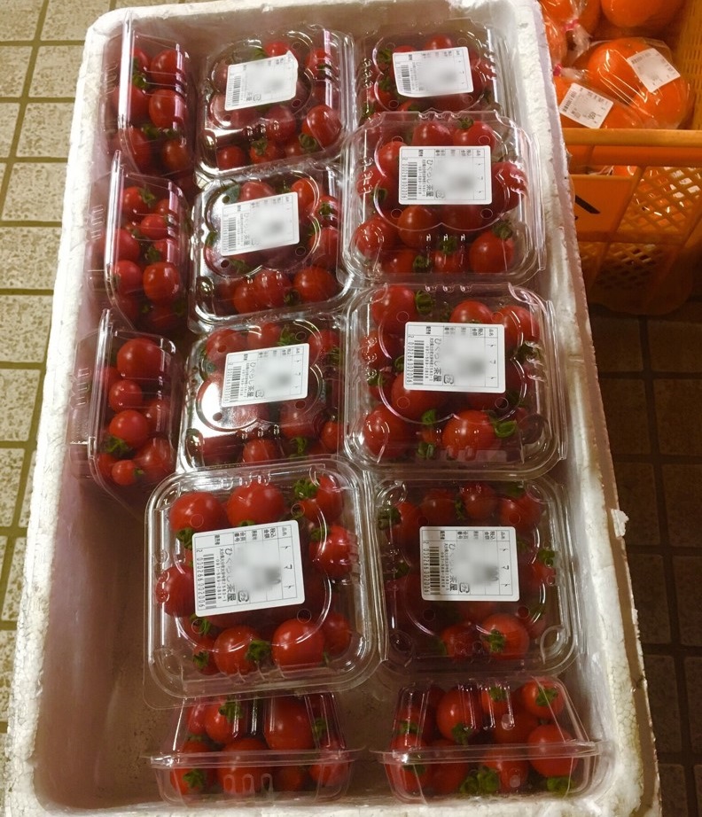 【出荷情報】ミニトマト(ひぐらし茶屋)