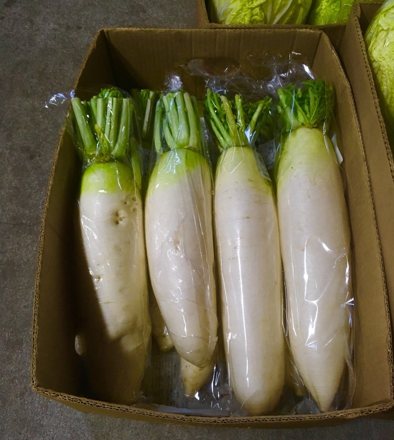 【出荷情報】大根(ひぐらし茶屋)