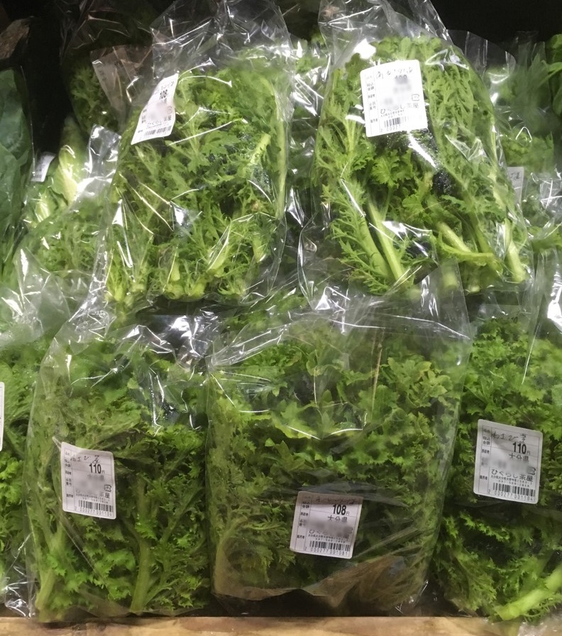 【出荷情報】わさび菜(ひぐらし茶屋)