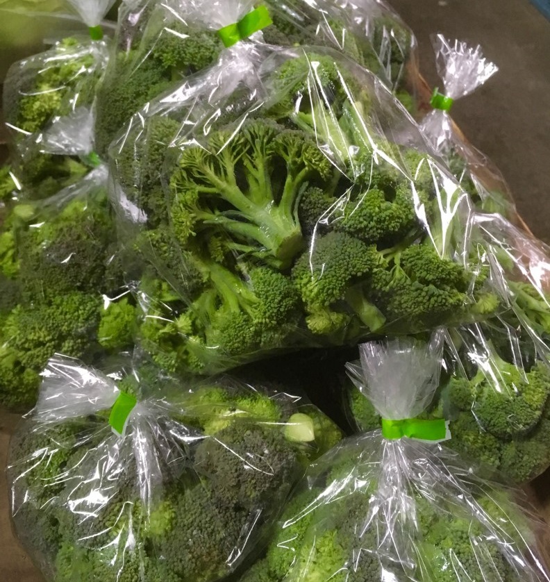 【出荷情報】ブロッコリー(ひぐらし茶屋)