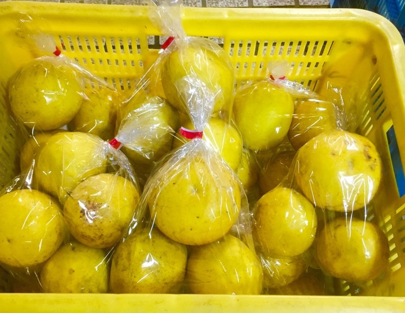 【出荷情報】ブンタン(ひぐらし茶屋)