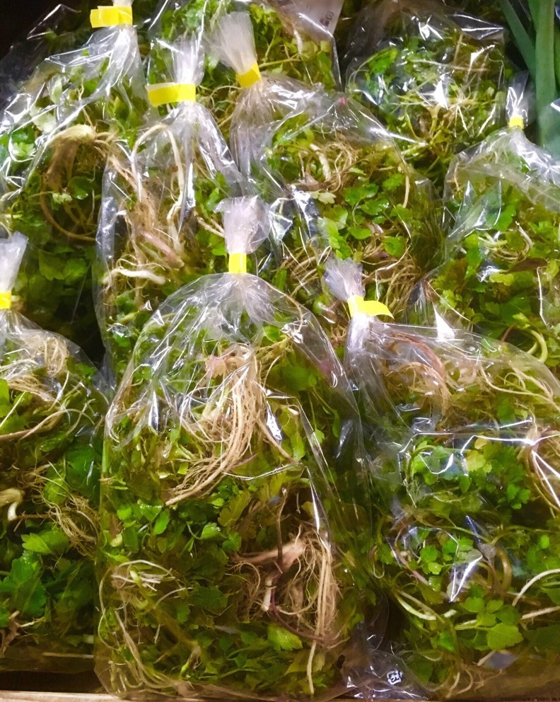 【出荷情報】せり(ひぐらし茶屋)
