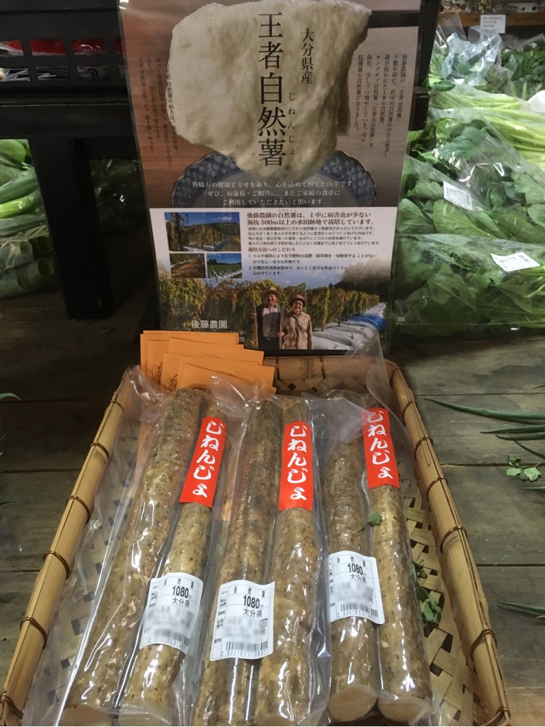 【出荷情報】自然薯(ひぐらし茶屋)