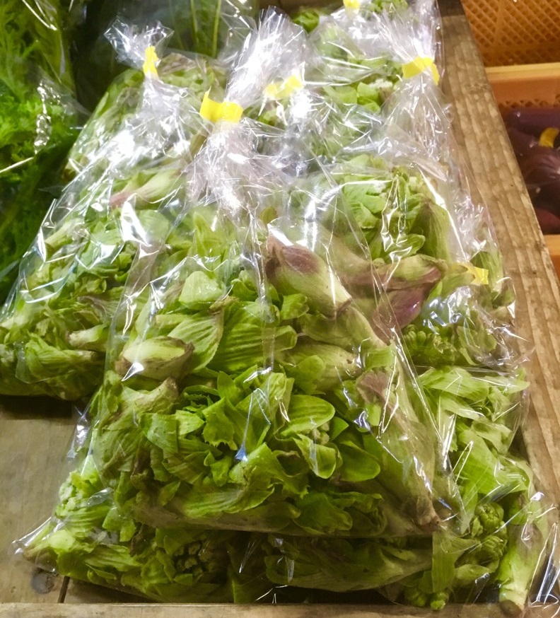【出荷情報】フキノトウ(ひぐらし茶屋)