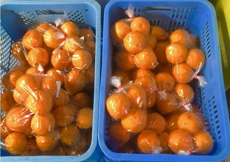 【出荷情報】でこぽん(ひぐらし茶屋)
