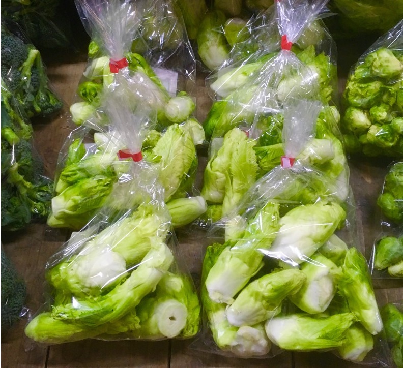 【出荷情報】こもち高菜(ひぐらし茶屋)