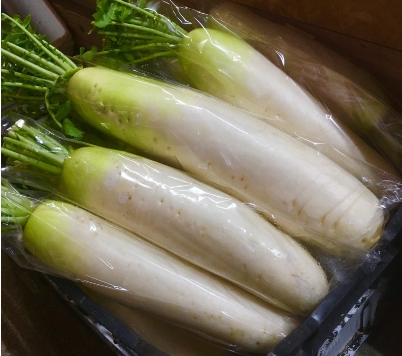 【出荷情報】大根(ひぐらし茶屋)