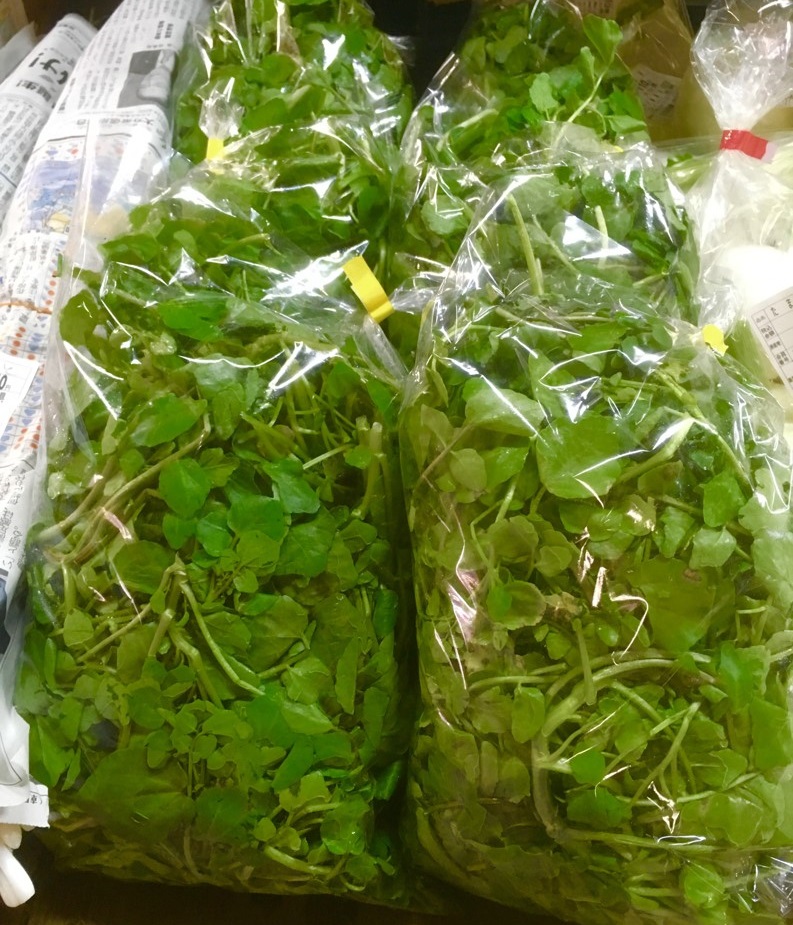 【出荷情報】クレソン(ひぐらし茶屋)