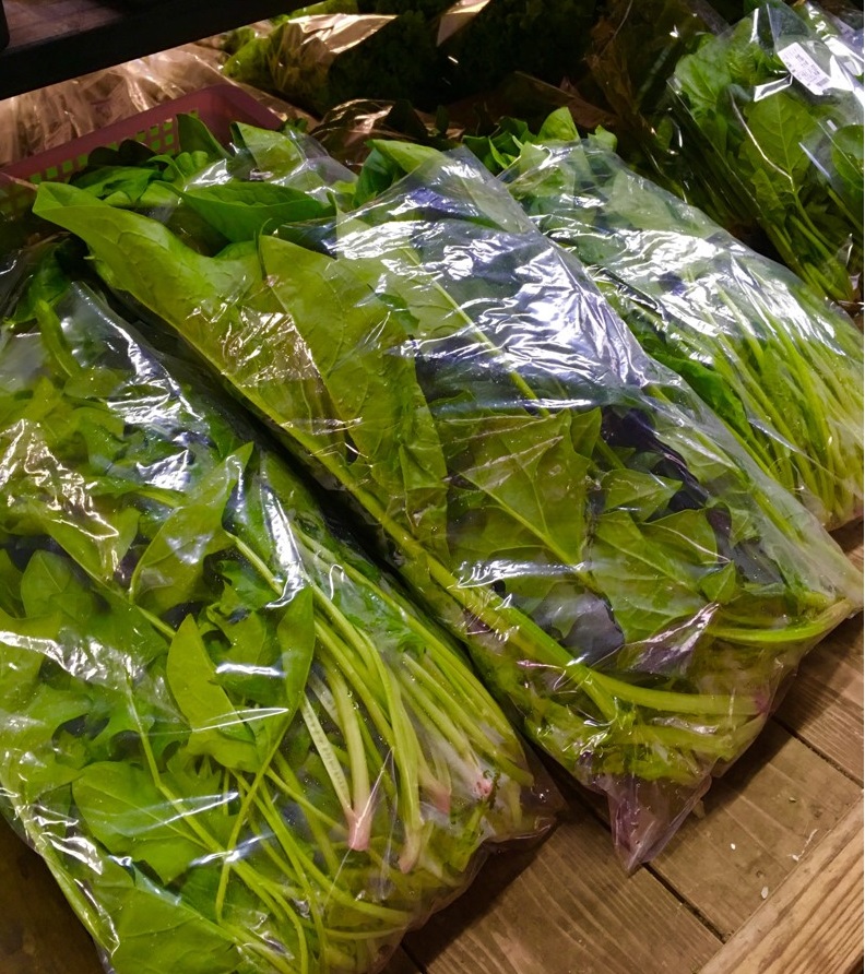【出荷情報】ほうれん草(ひぐらし茶屋)