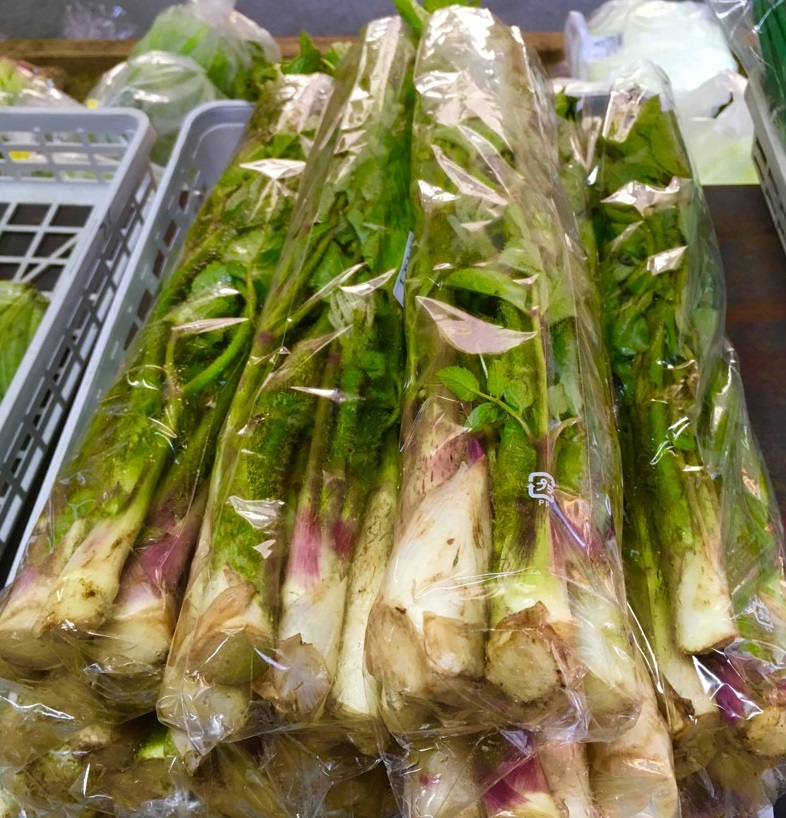 【出荷情報】ウド(ひぐらし茶屋)