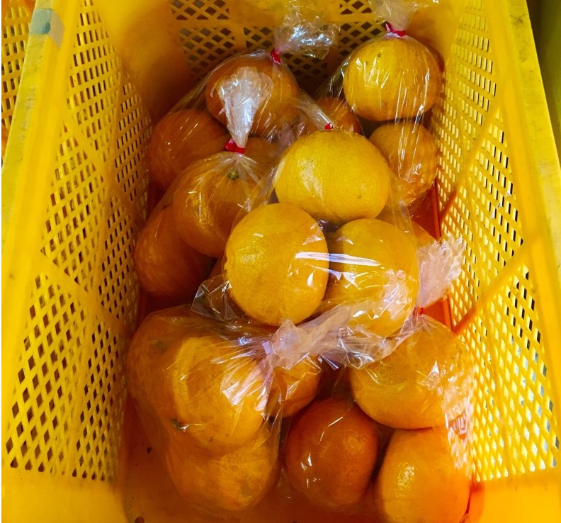 【出荷情報】甘夏(ひぐらし茶屋)