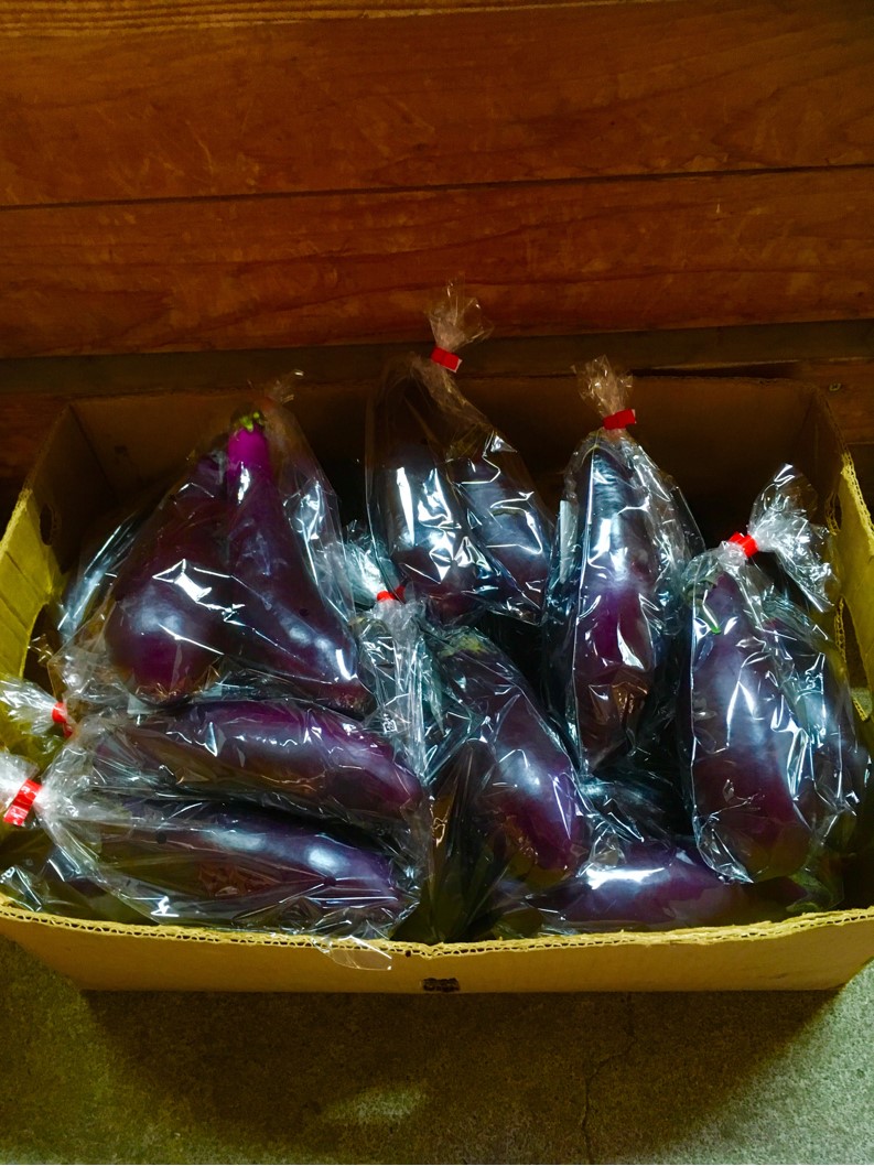 【出荷情報】ナス(ひぐらし茶屋)