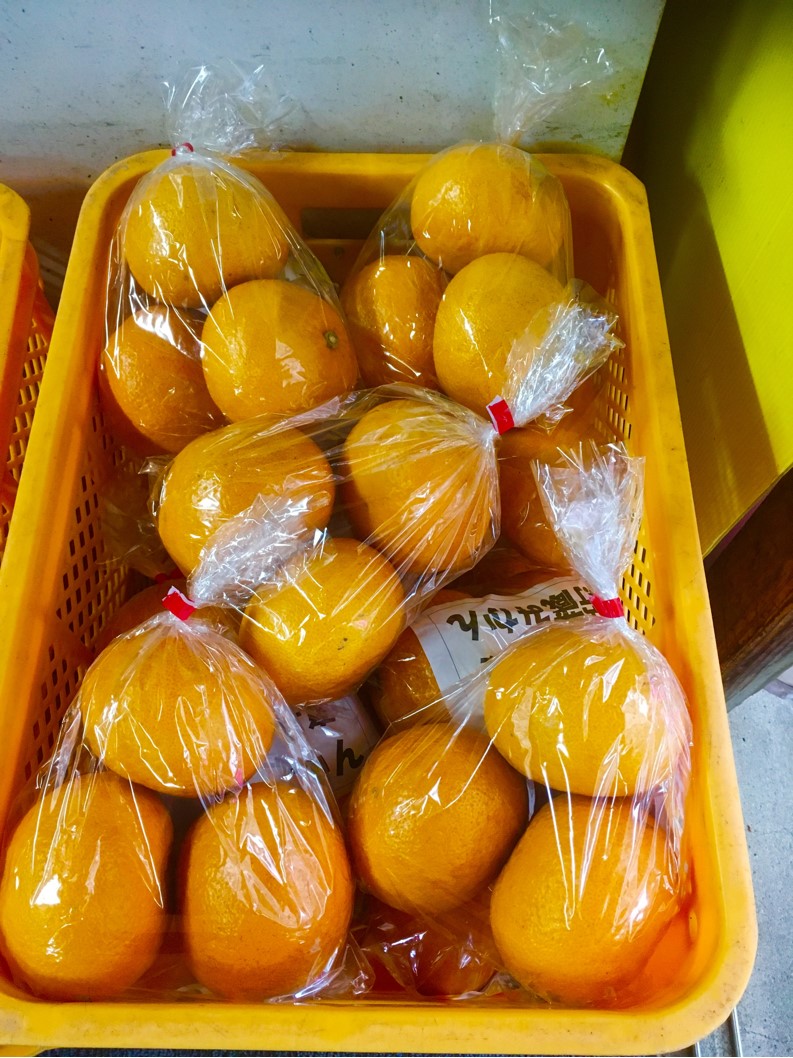 【出荷情報】甘夏みかん(ひぐらし茶屋)