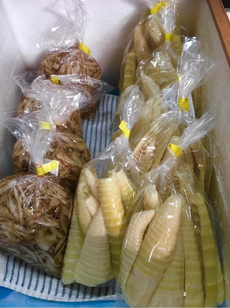 【出荷情報】ゴボウスライスとハチク(ひぐらし茶屋)