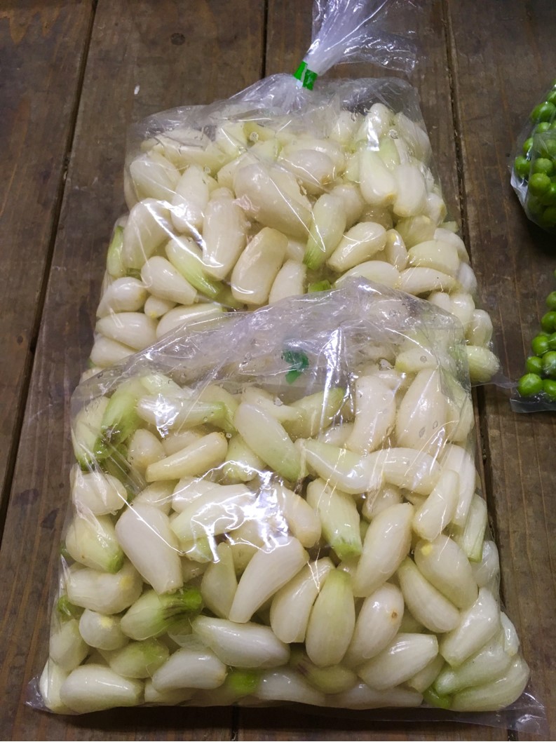 【出荷情報】ラッキョウ(ひぐらし茶屋)