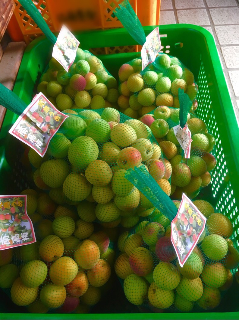 【出荷情報】南高梅(ひぐらし茶屋)