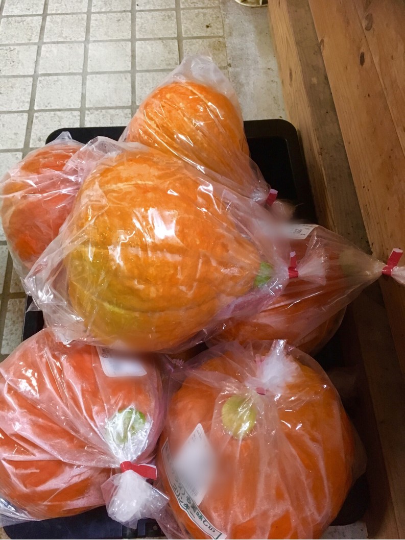 【出荷情報】コリンキー(ひぐらし茶屋)