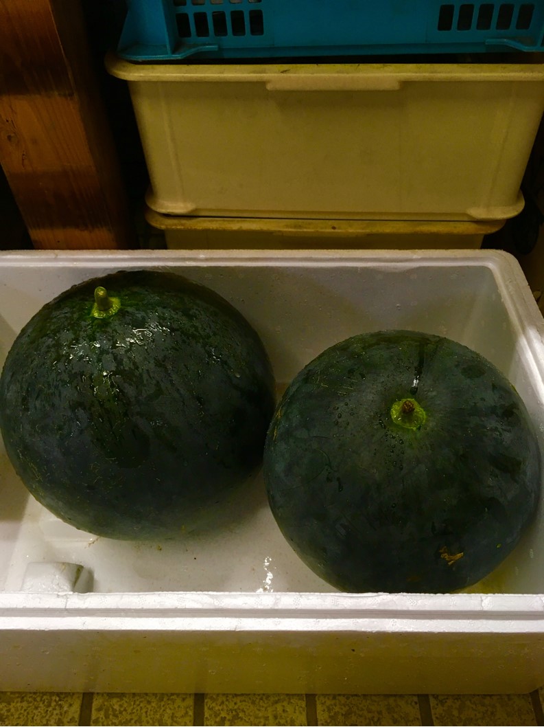 【出荷情報】スイカ(ひぐらし茶屋)