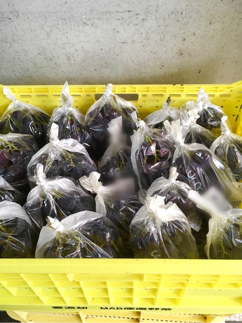 【出荷情報】ブドウ(ひぐらし茶屋)