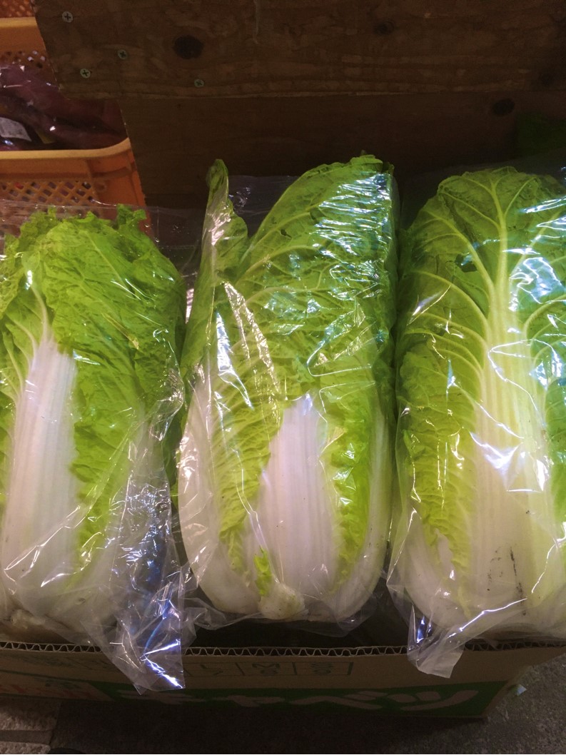 【出荷情報】白菜(ひぐらし茶屋)