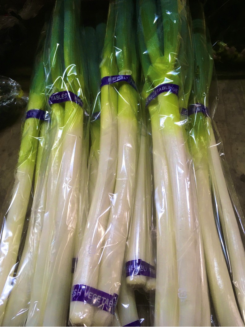 【出荷情報】白ネギ(ひぐらし茶屋)