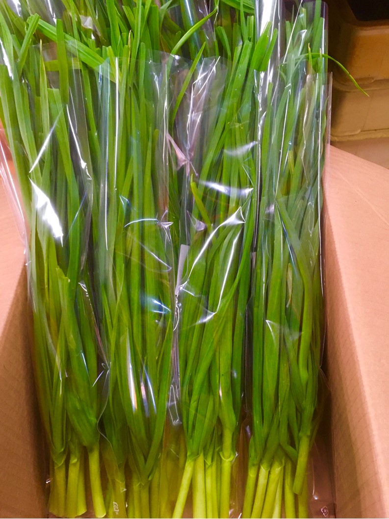 【出荷情報】葉ニンニク(ひぐらし茶屋)