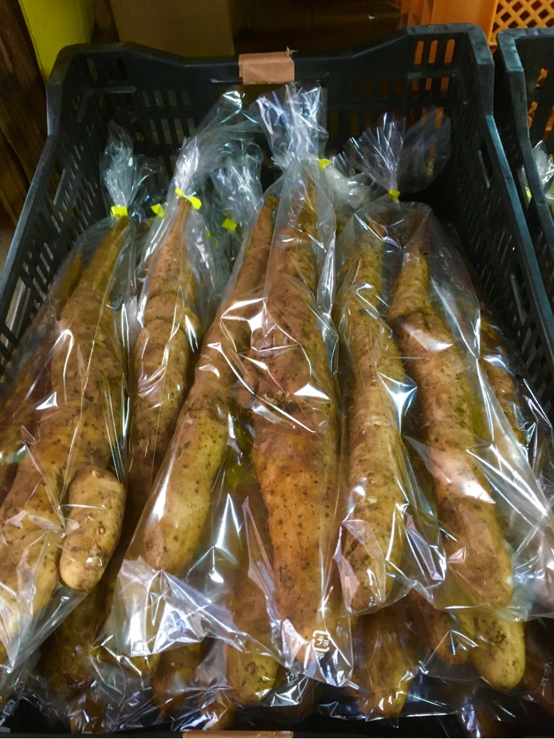 【出荷情報】ヤマトイモ(ひぐらし茶屋)