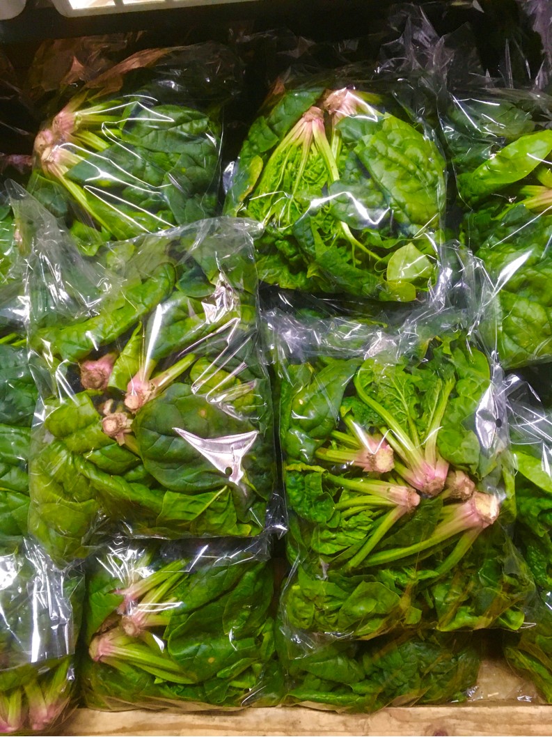 【出荷情報】ちぢみほうれん草(ひぐらし茶屋)