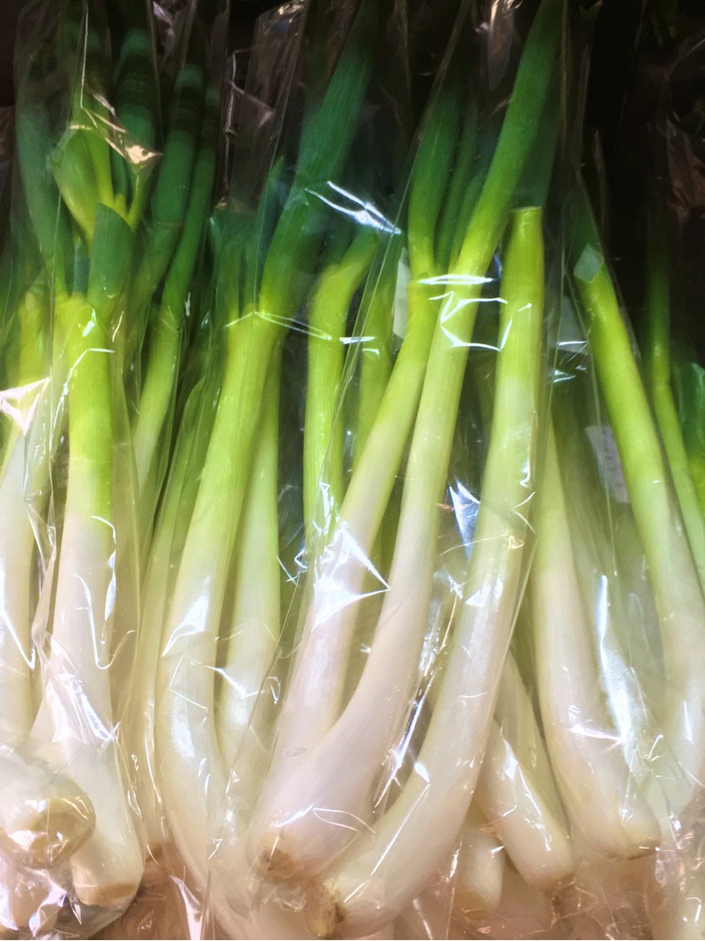 【出荷情報】ネギ(ひぐらし茶屋)