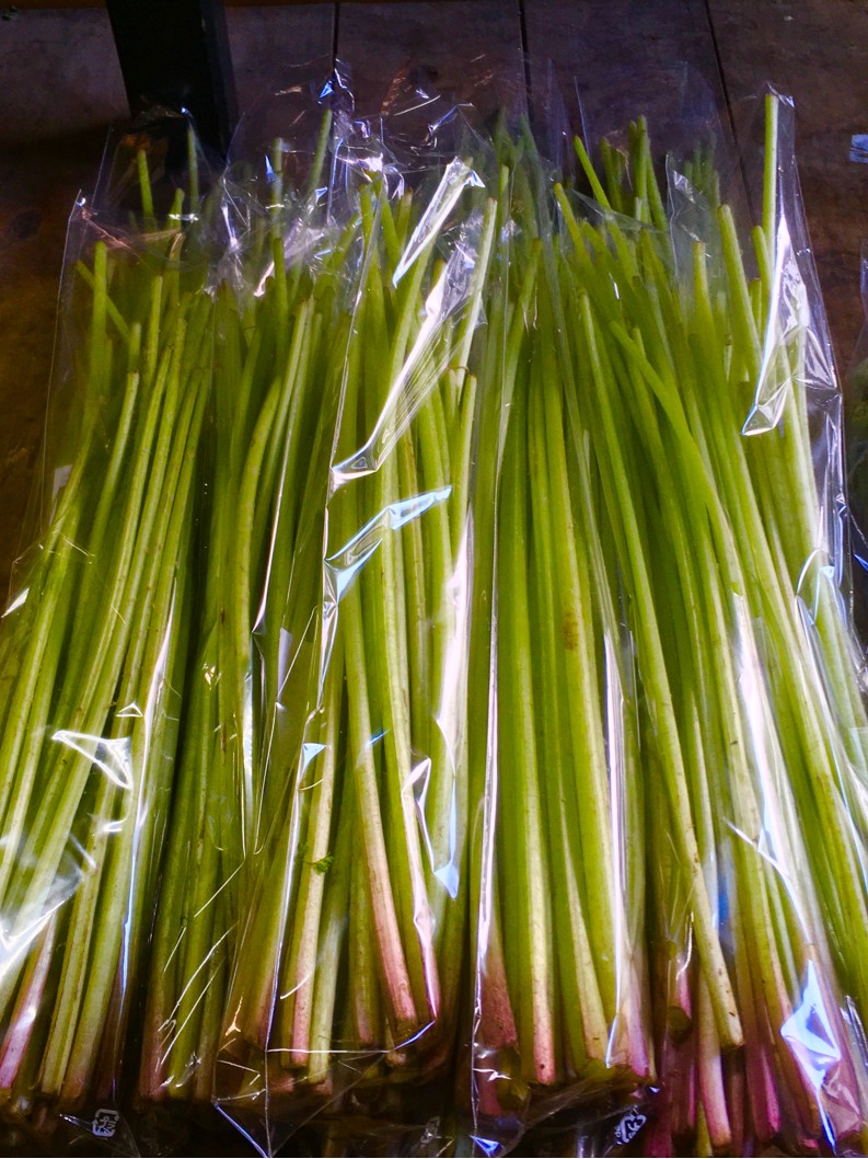 【出荷情報】フキ(ひぐらし茶屋)