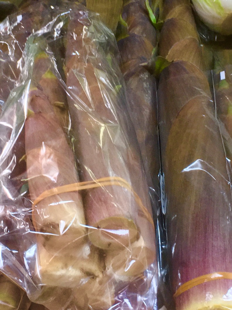 【出荷情報】淡竹-はちく-(ひぐらし茶屋)